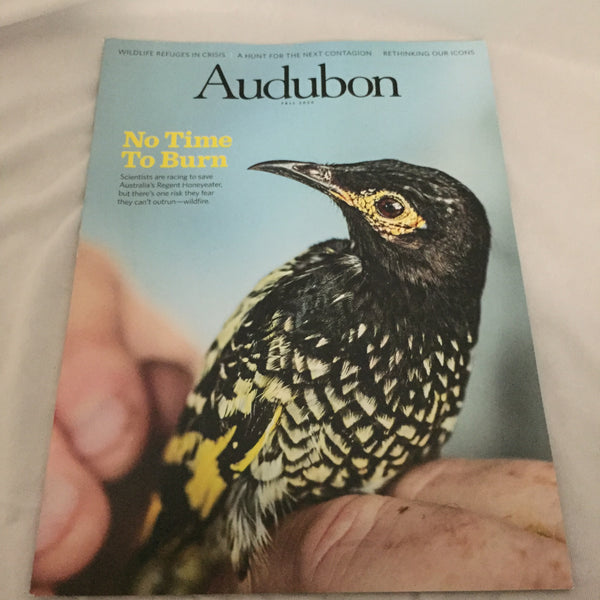 Audubon Magazine