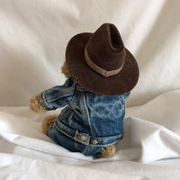 Cowboy Dog With Jean Outfit Plush