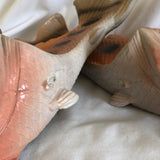 Fish Slippers - Size 40/41