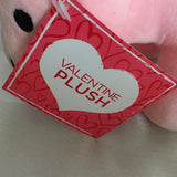 Valentine Dinosaur Plush