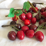 Decorative Cherries