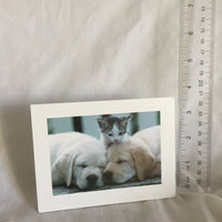 Kitten & Puppies Greeting Card -  Envelope Included