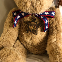 Gund 2002 Patriotic Wish Bear 100th Anniversary