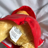 Disney Winnie The Pooh in Raincoat Plush