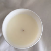 Sentsational - Sage & Magnolia 1 Wick Candle 5OZ