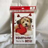 Valentine’s Day Cards - Pack of 6, 2 Designs